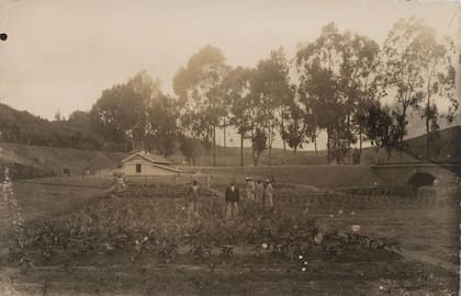 Área de plantación en el Hospital Colônia, donde los pacientes trabajaban (Foto: Archivo Público Mineiro)