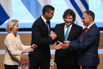 Argentina, Brasil, Uruguay y Paraguay todavía no acuerdan cómo repartir 99.000 toneladas para Europa