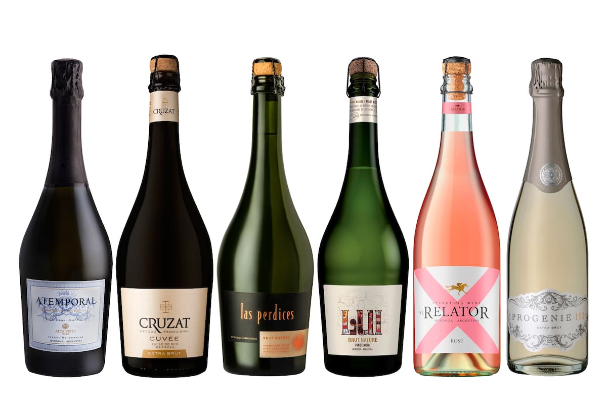 Argentina es uno de los productores de vinos espumantes más importantes del mundo con una amplia variedad de estilos y orígenes para descubrir. Conocé los que te proponen renovar el paladar.