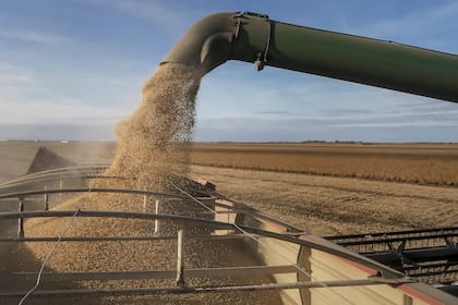 Este año la cadena de la soja le dejará al país más de 20.000 millones de dólares de exportaciones y casi 5000 millones en ingresos fiscales