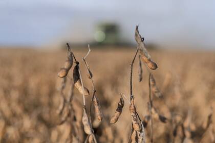 ARGENTINA, Las Acequias: Cosecha de soja en Las Acequias, Cordoba, el 3 de \May\ de 2019. LA NACION / Diego Lima
