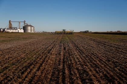 ARGENTINA, Marcos Juarez: Siembra de trigo, variedad Lapacho, en Marcos Juarez, Cordoba, el 7 de Junio de 2016. LA NACION / Diego Lim