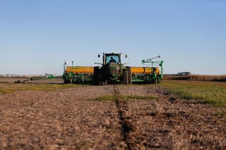 Se viene la campaña fina y hay que usar la mejor información: la agronomía