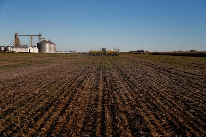 ARGENTINA, Marcos Juarez: Siembra de trigo, variedad Lapacho, en Marcos Juarez, Cordoba, el 7 de Junio de 2016. LA NACION / Diego Lima