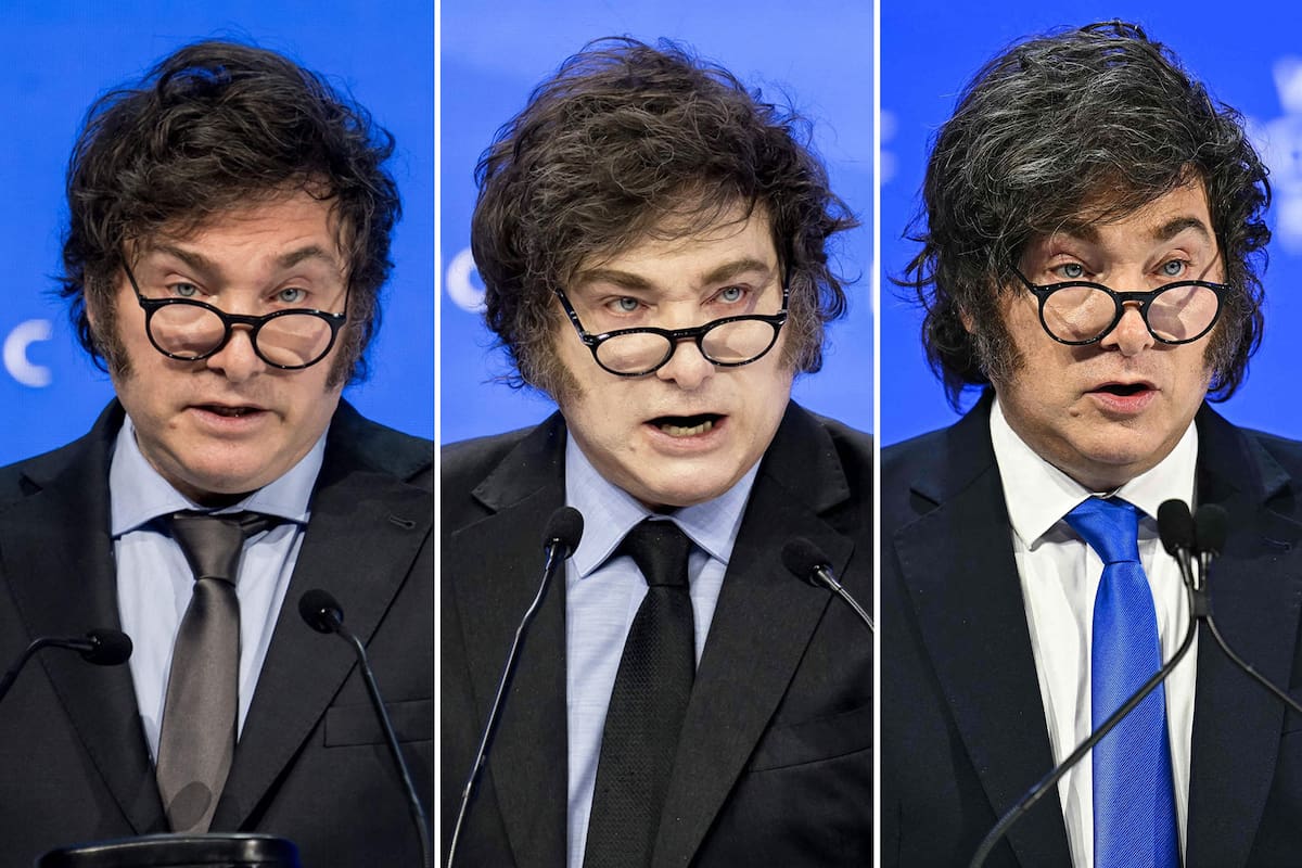 Argentina's President Javier Milei delivers a speech at the World Economic Forum (WEF) meeting in Davos on January 17, 2024. (Photo by Fabrice COFFRINI / AFP)