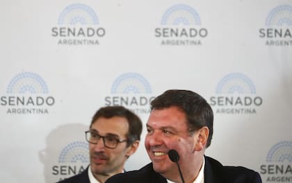 Ariel Lijo, en el Senado