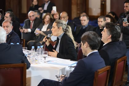 La senadora nacional por la Unión Cívica Radical (UCR), Carolina Losada, expone en el Senado