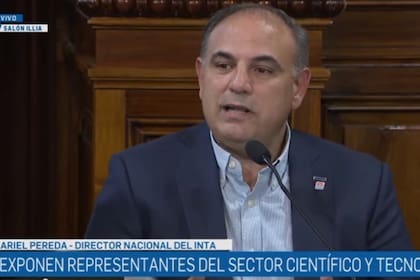 Ariel Pereda, director Nacional del INTA, expuso en el Senado