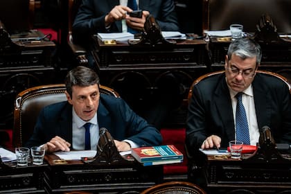 Ariel Rauschenberger junto a Germán Martínez