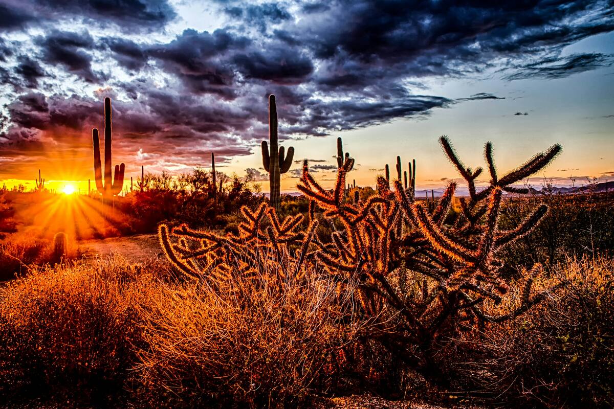 Arizona cuenta con todo tipo de actividades para disfrutar del Memorial Day en familia. Foto: Unsplash