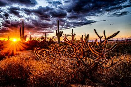 Arizona cuenta con todo tipo de actividades para disfrutar del Memorial Day en familia. Foto: Unsplash