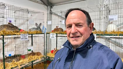 Armando Vasallo, criador de conejos en la provincia de Buenos Aires
