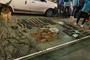 Armas y trofeos de caza encontrados en Palermo.