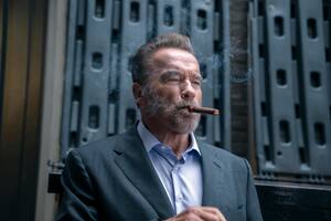 Arnold Schwarzenegger es Luke Brunner en FUBAR