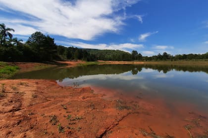 Erythrovenator jacuiensis significa "cazador rojo del río Jacuí". Müller le puso ese nombre por la coloración rojiza del fósil y por el río que transcurre cerca de donde fue descubierto