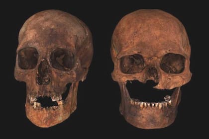 Un grupo de investigadores utilizó el análisis de ADN para descubrir los secretos del apodado "jefe de seis cabezas", hallado en una tumba de la Edad Media en Escocia