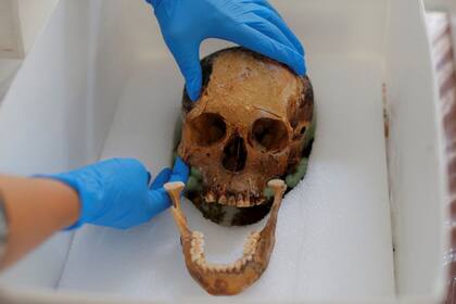 El análisis antropométrico del cráneo permitió a los expertos conocer las dimensiones de ciertas partes de su cuerpo como el ancho de la nariz, los maxilares y otras medidas como la altura, que fue fijada en 1,50 metros