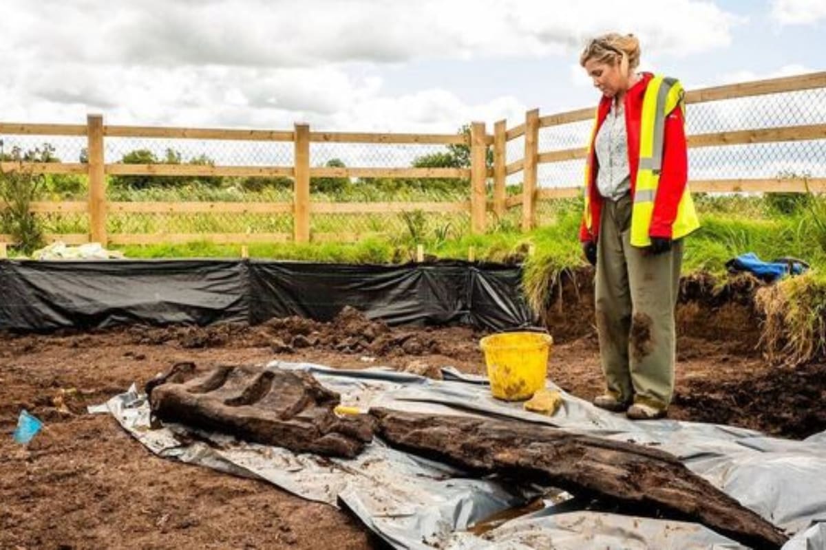 Arqueólogos - hallazgo
