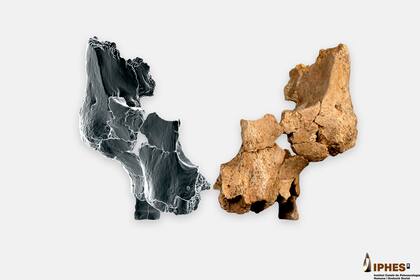 Arqueólogos descubren el fósil parcial de rostro humano más antiguo conocido en Europa occidental