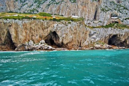 Arqueólogos descubrieron elementos óseos que desmienten la extinción de los neandertales hace 40.000 años