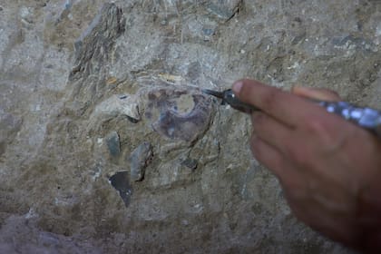 Arqueólogos encuentran sitio de sepultura de 100.000 años en Israel, de los más antiguos del mundo