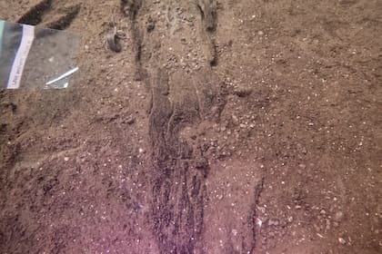 Arqueólogos identifican 16 canoas antiguas en lago en Wisconsin