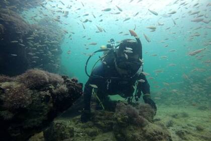 Arqueólogos mexicanos identificaron por primera vez en la historia un barco que se dedicaba al comercio de esclavos mayas entre México y Cuba a pesar de que se trataba de una práctica ya considerada ilegal a mediados del siglo XIX