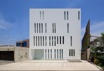 Arquitecto Martín Dulanto - Proyecto Paquidermo