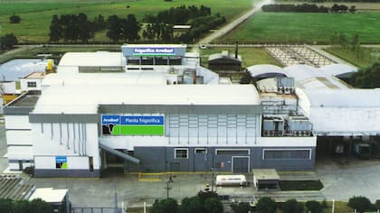 Para los exportadores, los chinos van a estar más estrictos que antes