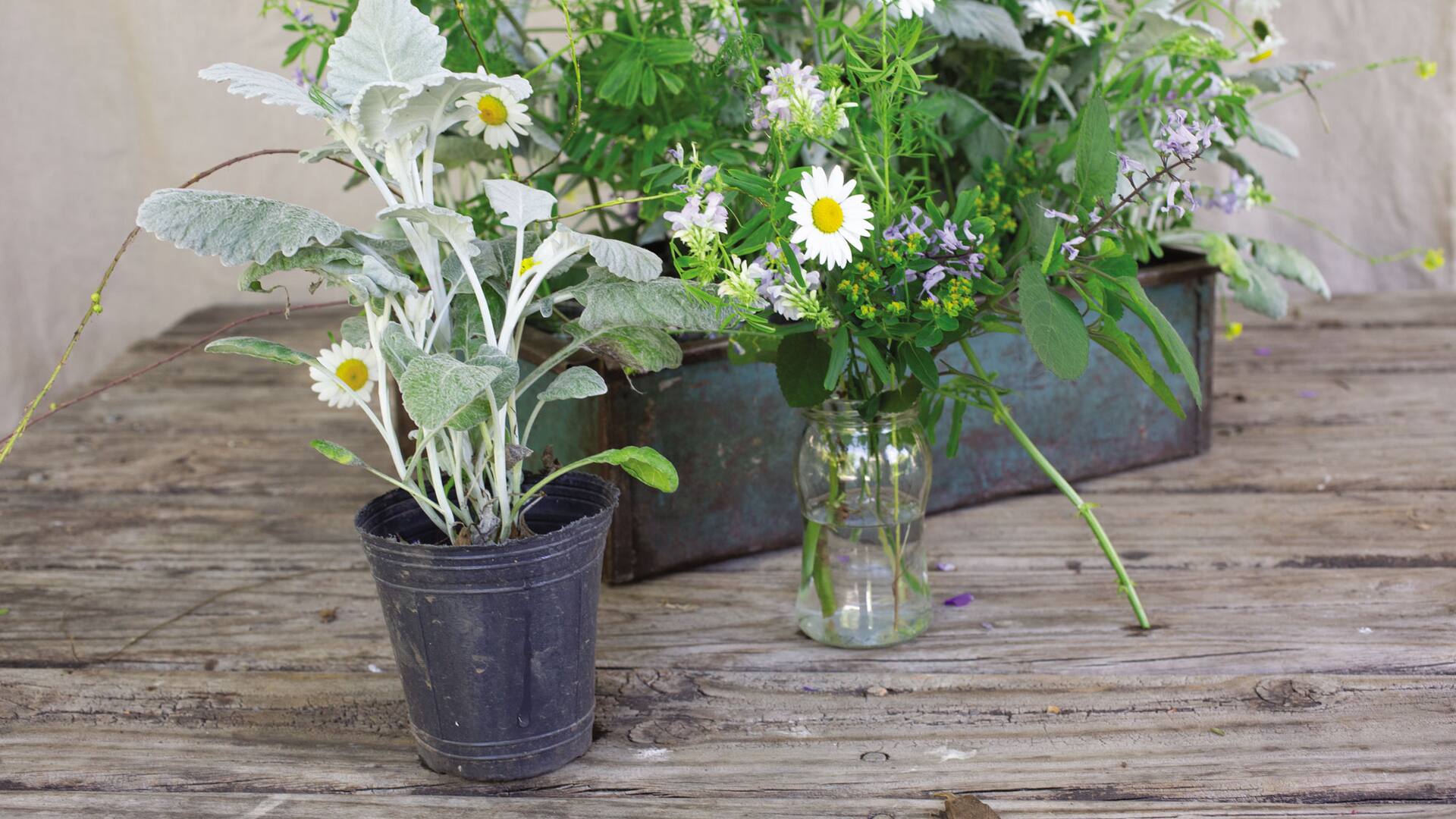 Colores, formas y texturas: así percibe el ojo humano la belleza de los arreglos florales.