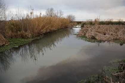 Aguas contaminadas