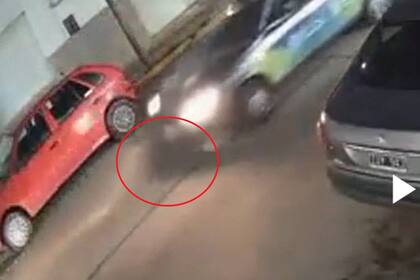 Arrolló a un perro y lo dejó morir en la calle