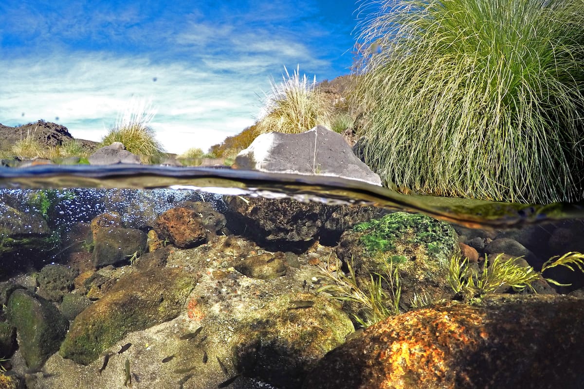 Arroyo Valcheta, Río Negro