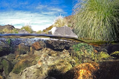 Arroyo Valcheta, Río Negro
