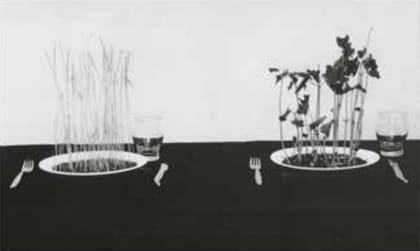 Arroz & Porotos, instalación presentada en 1979 por Anna Maria Maiolino y otros artistas en la Alianza Francesa de Botafogo