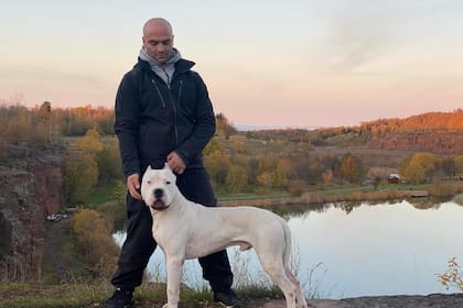 Arsim Dreshaj cría dogos argentinos en Suecia.
