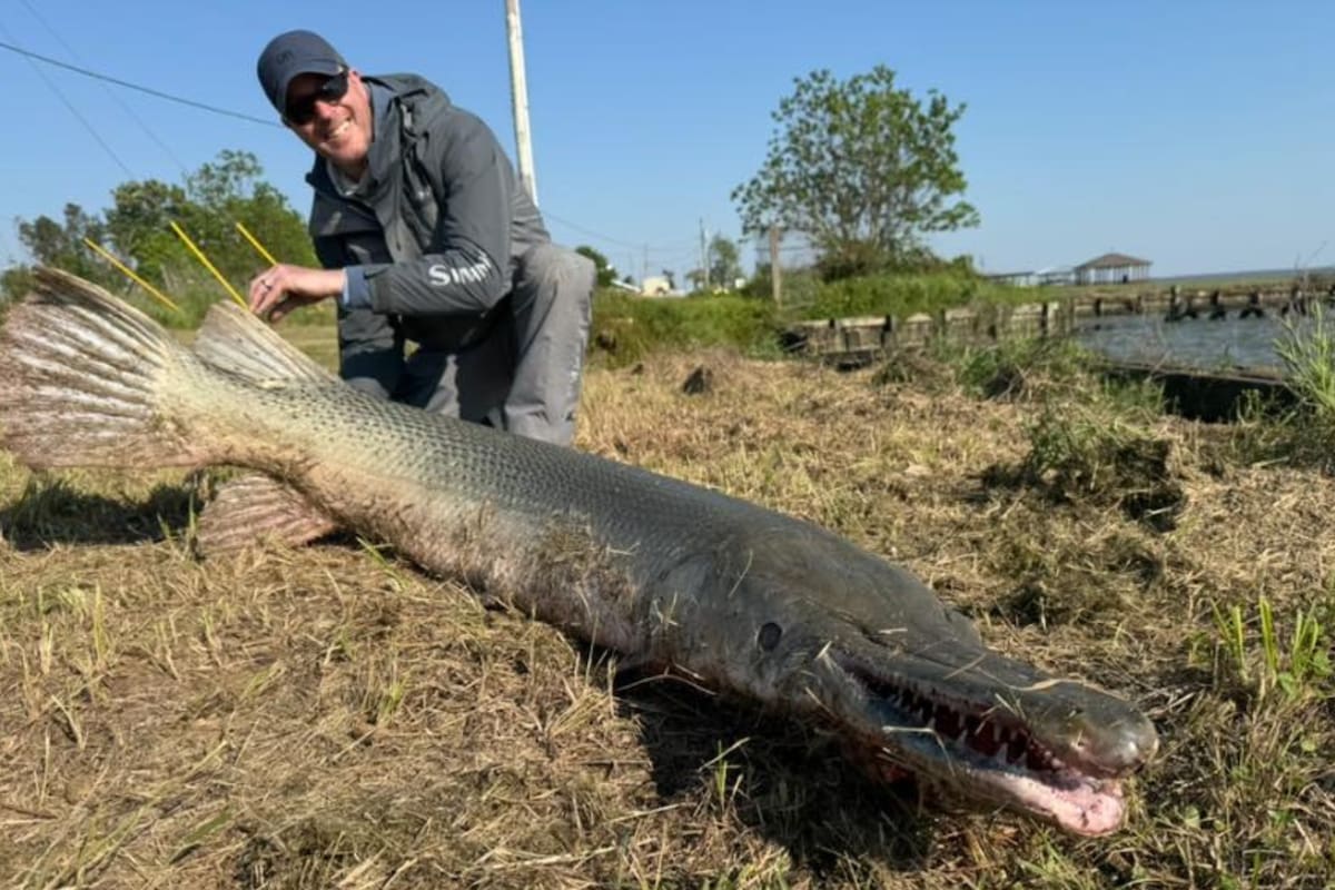 Art Weston capturó uno de los peces de agua dulce más grandes del mundo.