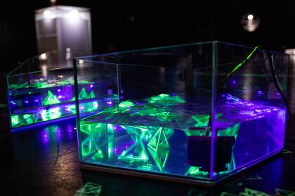 Arte, ciencia, tecnología y música electrónica en una edición mixta del festival de cultura digital