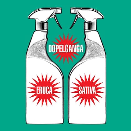 Arte de tapa del nuevo álbum de Eruca Sativa