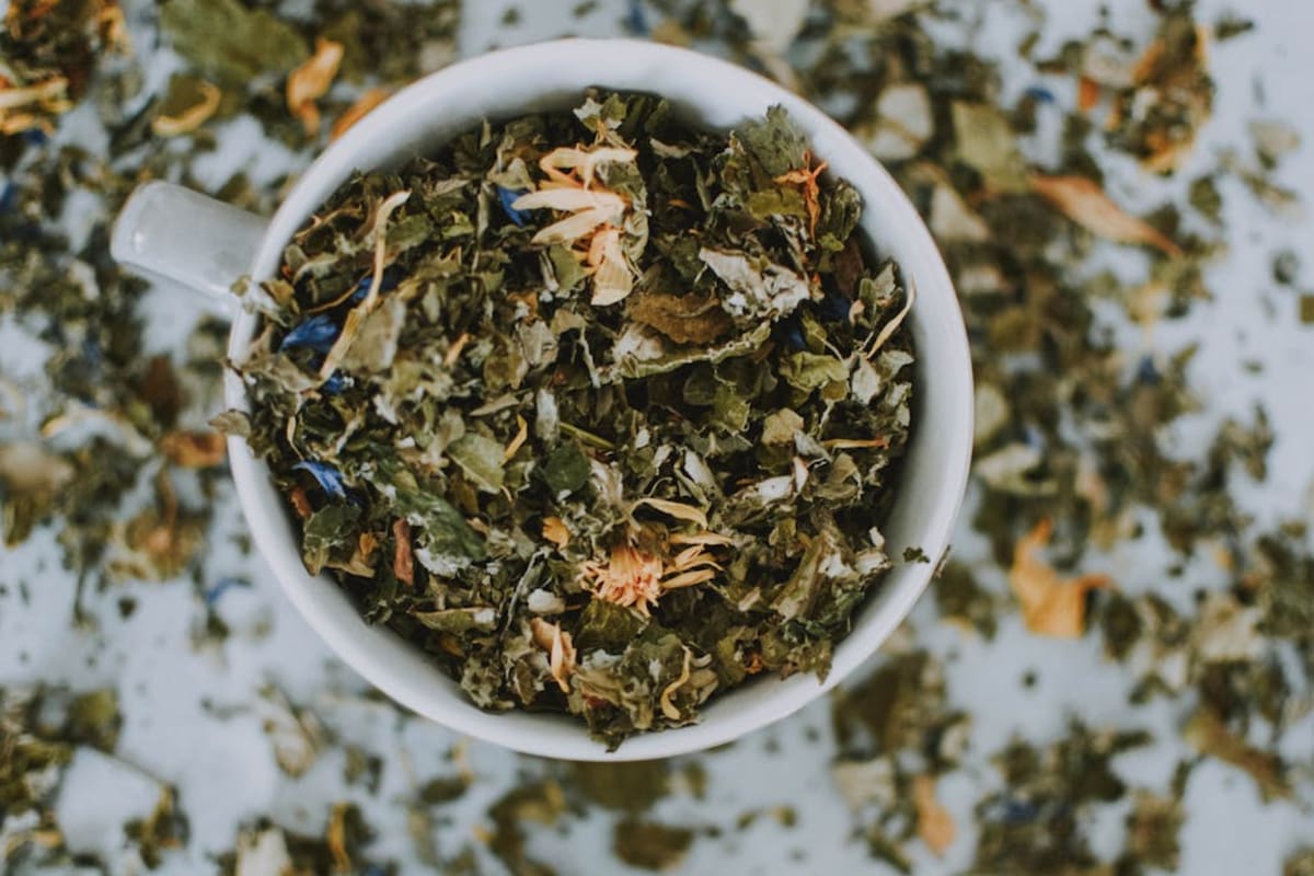 Artemisa o Matricaria se utiliza para combatir el dolor de cabeza (Foto Pexels)