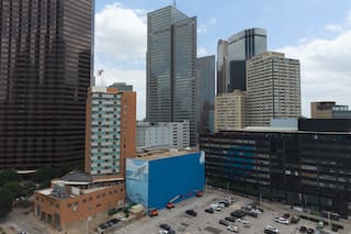 Artista demanda a la FIFA por destruir mural de ballena en Dallas antes del Mundial