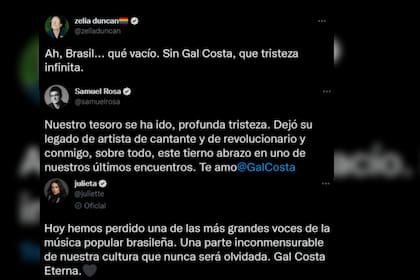 Artistas despidieron a Gal (Captura video)