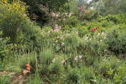 Arverjillas, gladiolos, dalias y una lavanda por florecer se entremezclan en el jardín y emanan sus deliciosos perfumes.