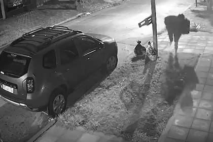 Asalto a un repartidor en San Martín