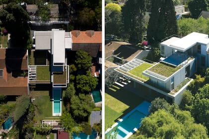 Asclepias y salvias son algunas de las especies plantadas en las terrazas y que atraen, respectivamente, mariposas y colibríes. Foto: Javier Agustín Rojas (Gentileza P/SG Arquitectes)