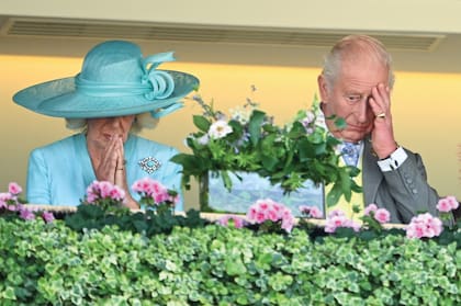 El momento en el que los reyes Carlos y Camilla presencian la derrota de su caballo, Warrant Holder, que terminó en segundo lugar en la carrera Duke of Edinburgh Stakes, de las más competitivas y tradicionales del hípico