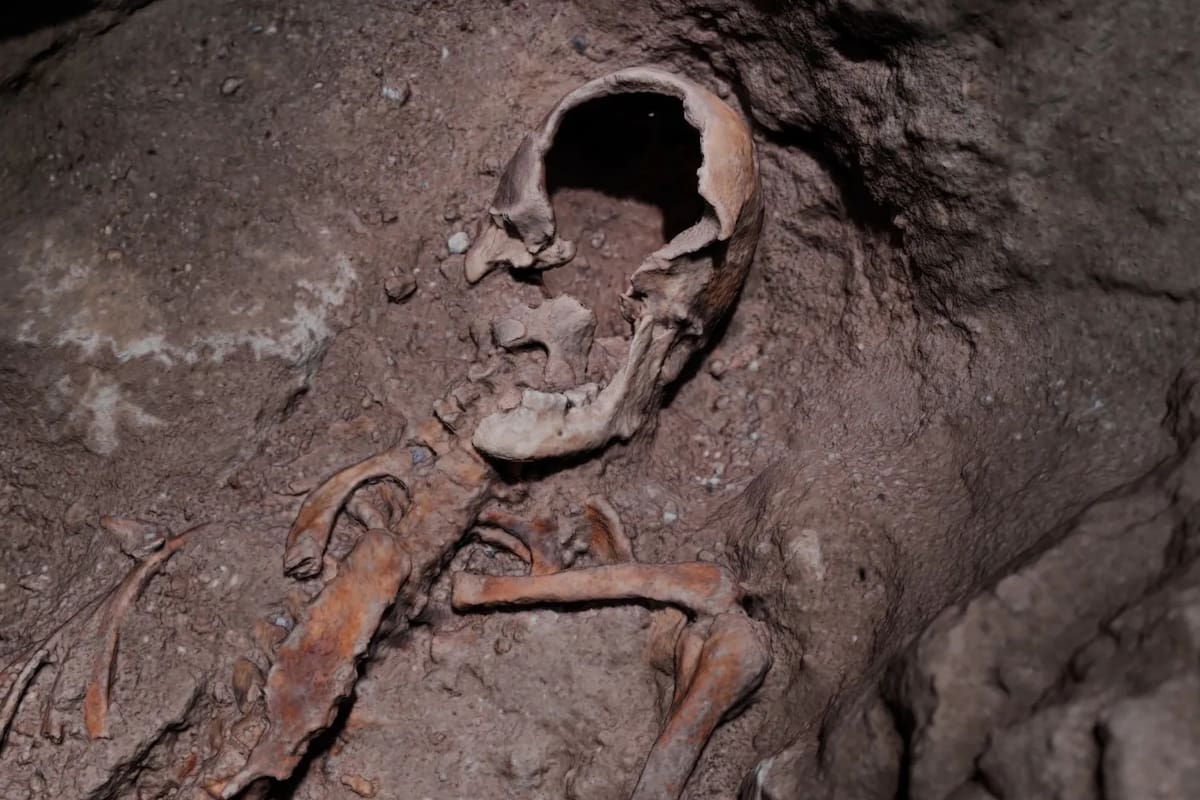 Aseguran haber hallado la tumba de D'Artagnan en los Países Bajos