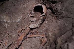 Aseguran haber hallado la tumba de D'Artagnan en los Países Bajos