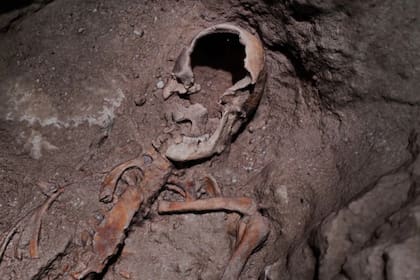 Aseguran haber hallado la tumba de D'Artagnan en los Países Bajos