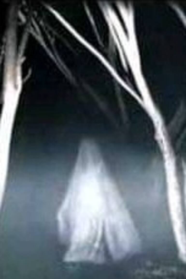 Aseguran que La Llorona apareció en Santa Fe